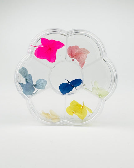 Dry Flowers - Spring - NaileeDry Flowers - SpringNail CareNaileeSpringNailee