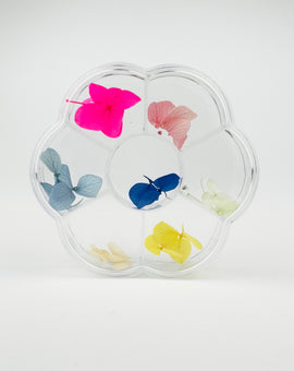 Dry Flowers - Spring