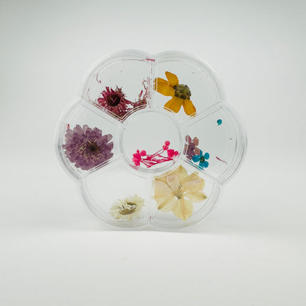 Collection image for: Dry Flowers