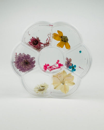 Dry Flowers - Bloom - NaileeDry Flowers - BloomNail CareNaileeBloomNailee