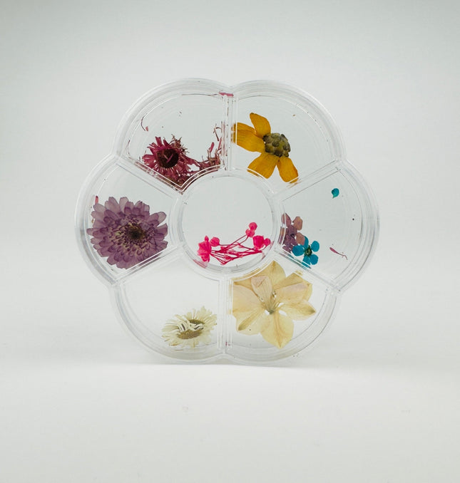 Dry Flowers - Bloom - NaileeDry Flowers - BloomNail CareNaileeBloomNailee