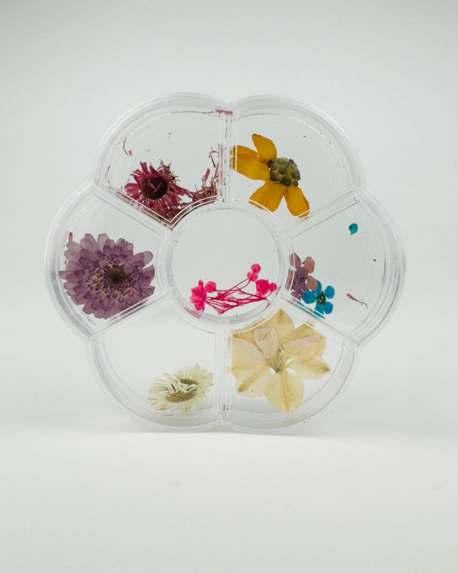 Dry Flowers - Bloom - NaileeDry Flowers - BloomNail CareNaileeBloomNailee