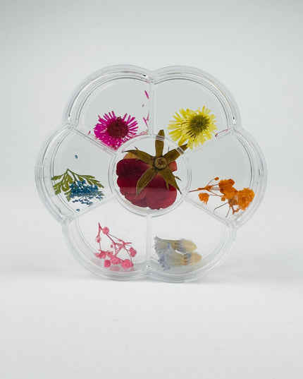 Dry Flowers - Blossom - NaileeDry Flowers - BlossomNail CareNaileeBlossomNailee