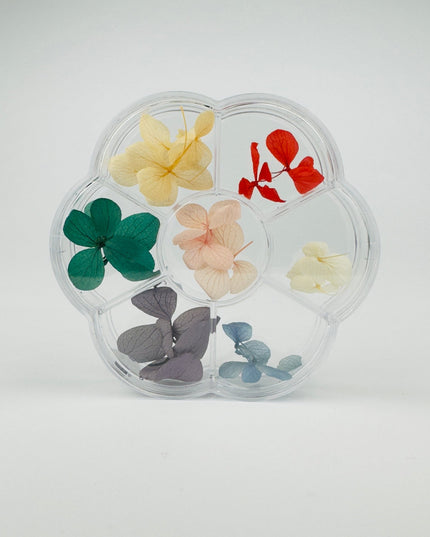 Dry Flowers - Summer - NaileeDry Flowers - SummerNail CareNaileeSummerNailee