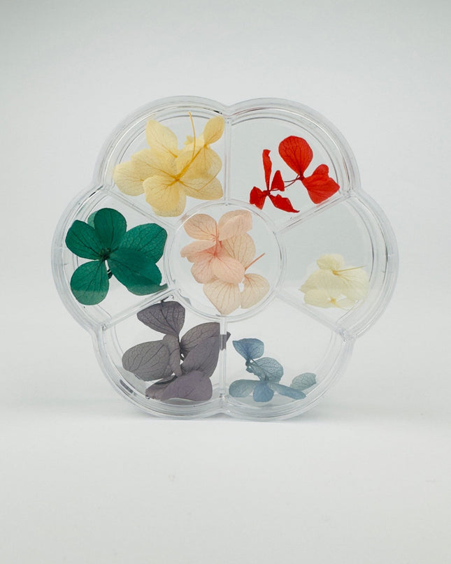 Dry Flowers - Summer - NaileeDry Flowers - SummerNail CareNaileeSummerNailee
