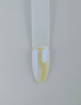 Cream Pigment 5ml - WT05